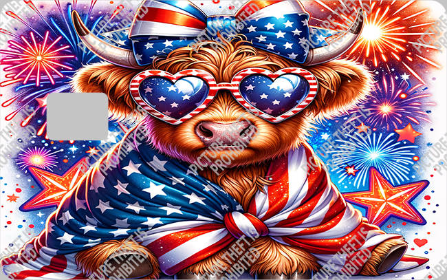 Bank  Card Sticker-BC-1487